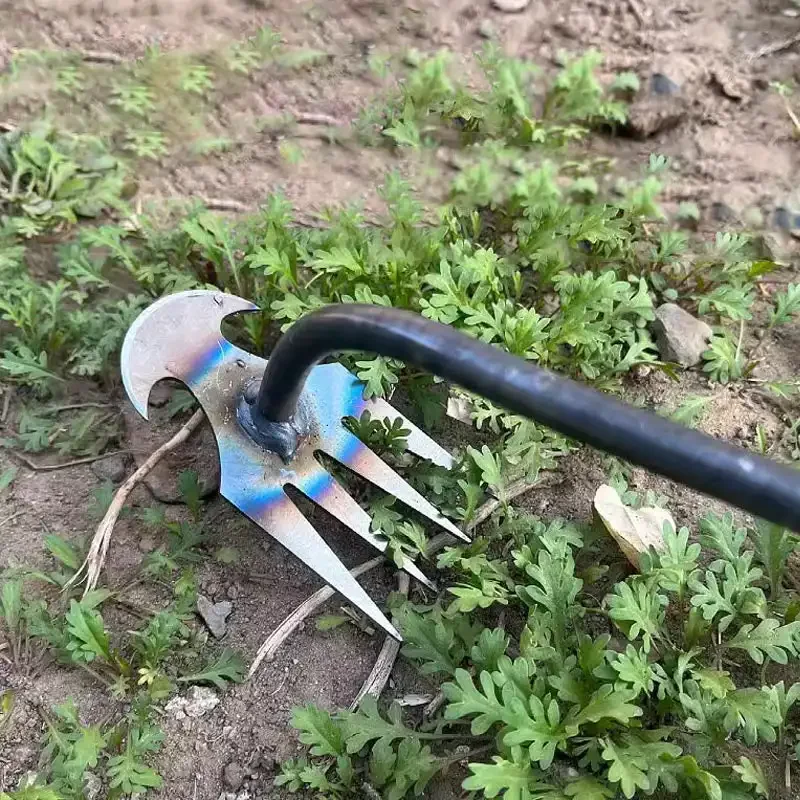 Gardening Tools To Remove Weeds - Arracheur de mauvaises herbes en acier