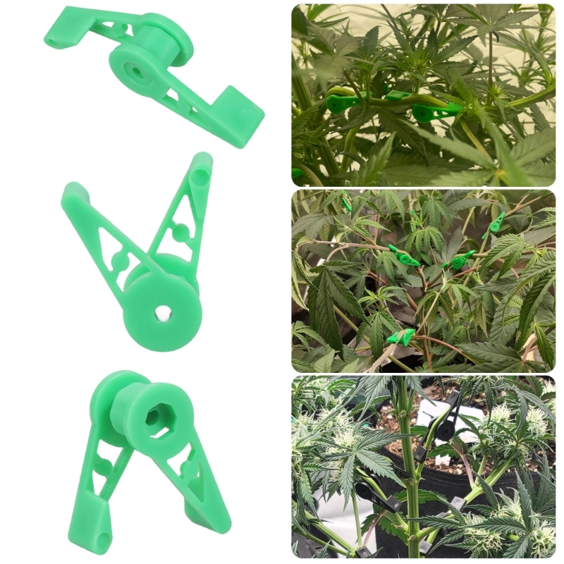 Clips d'entraînement pour plan - Gardening Tools Description avis et prix