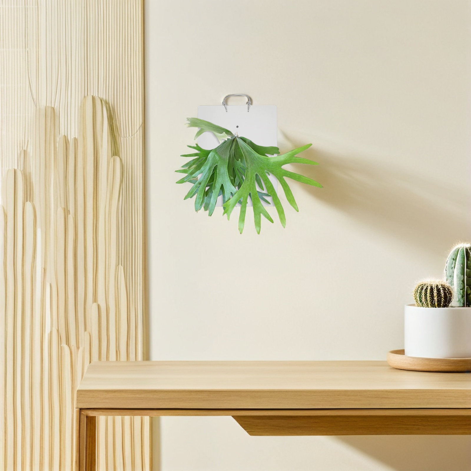 Planche de montage pour fougèr - Vertical Wall Planter avis et prix