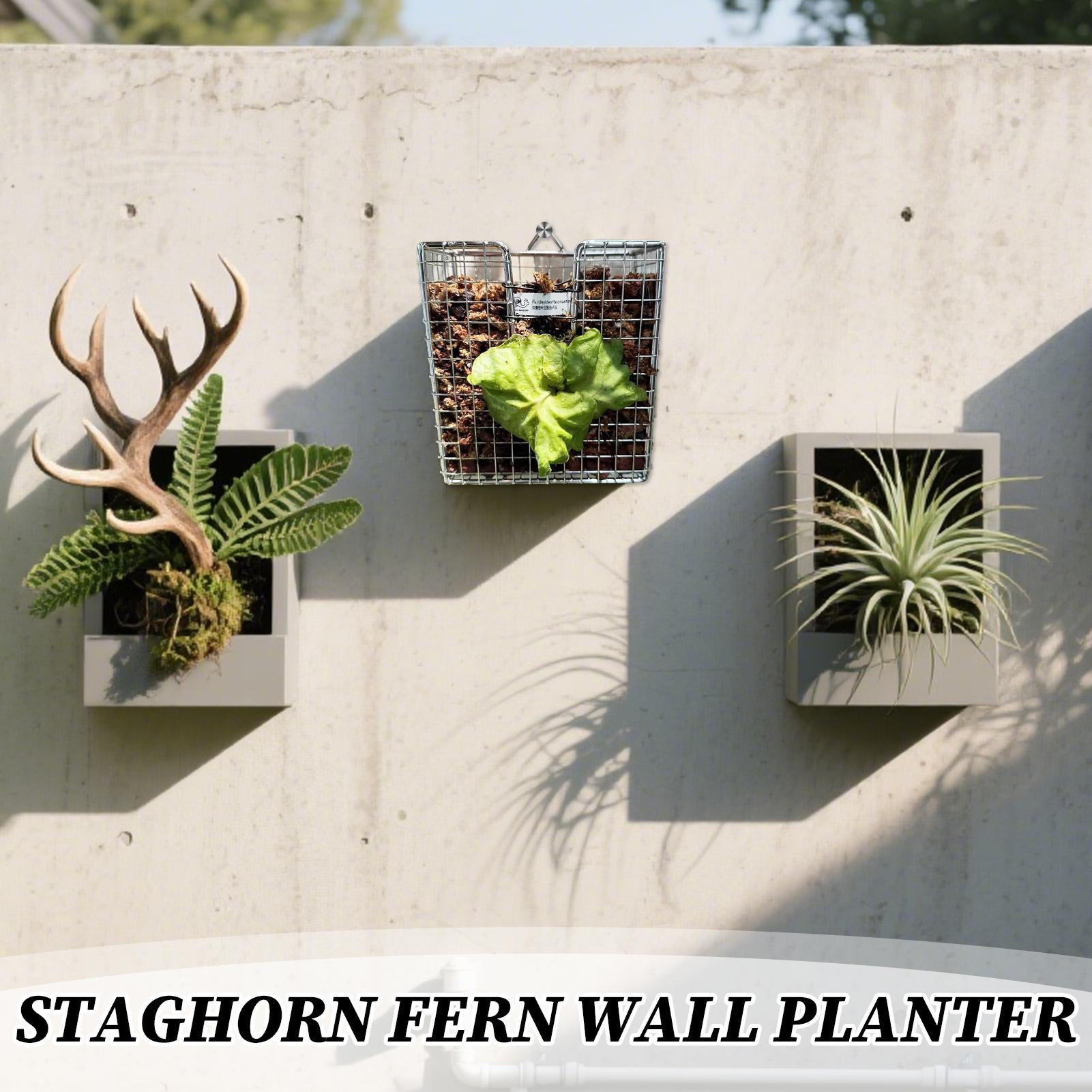 Kit de montage de fougère Stag - Vertical Wall Planter avis et prix