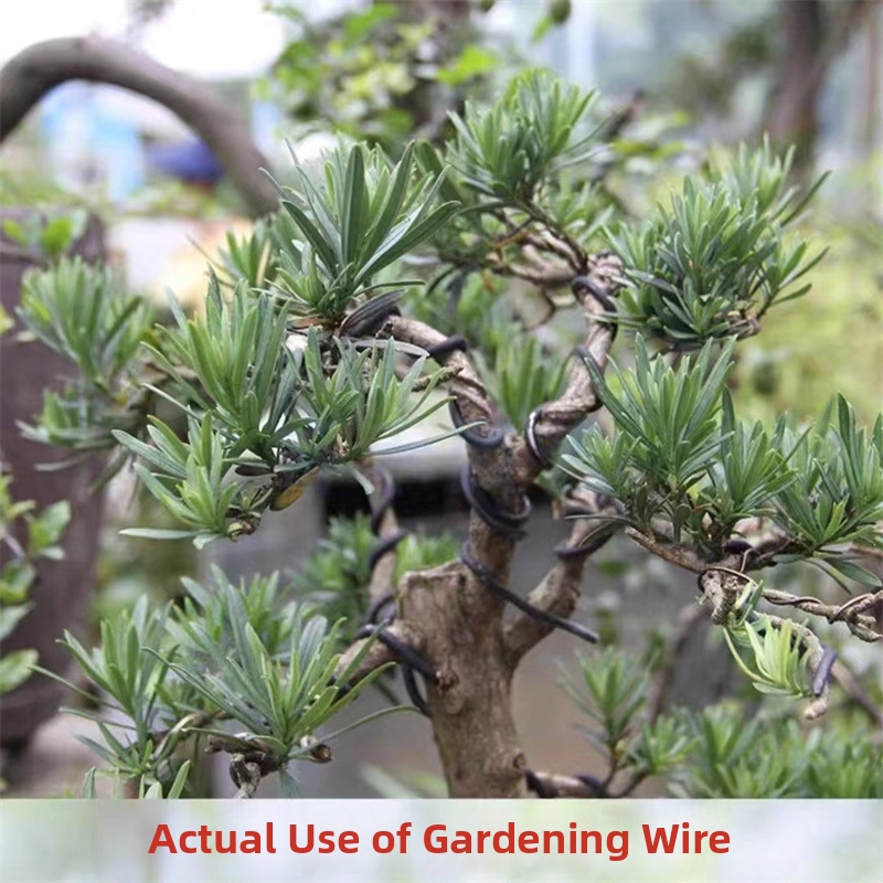 Fils de bonsaï en aluminium de - Gardening Tools Diy avis et prix