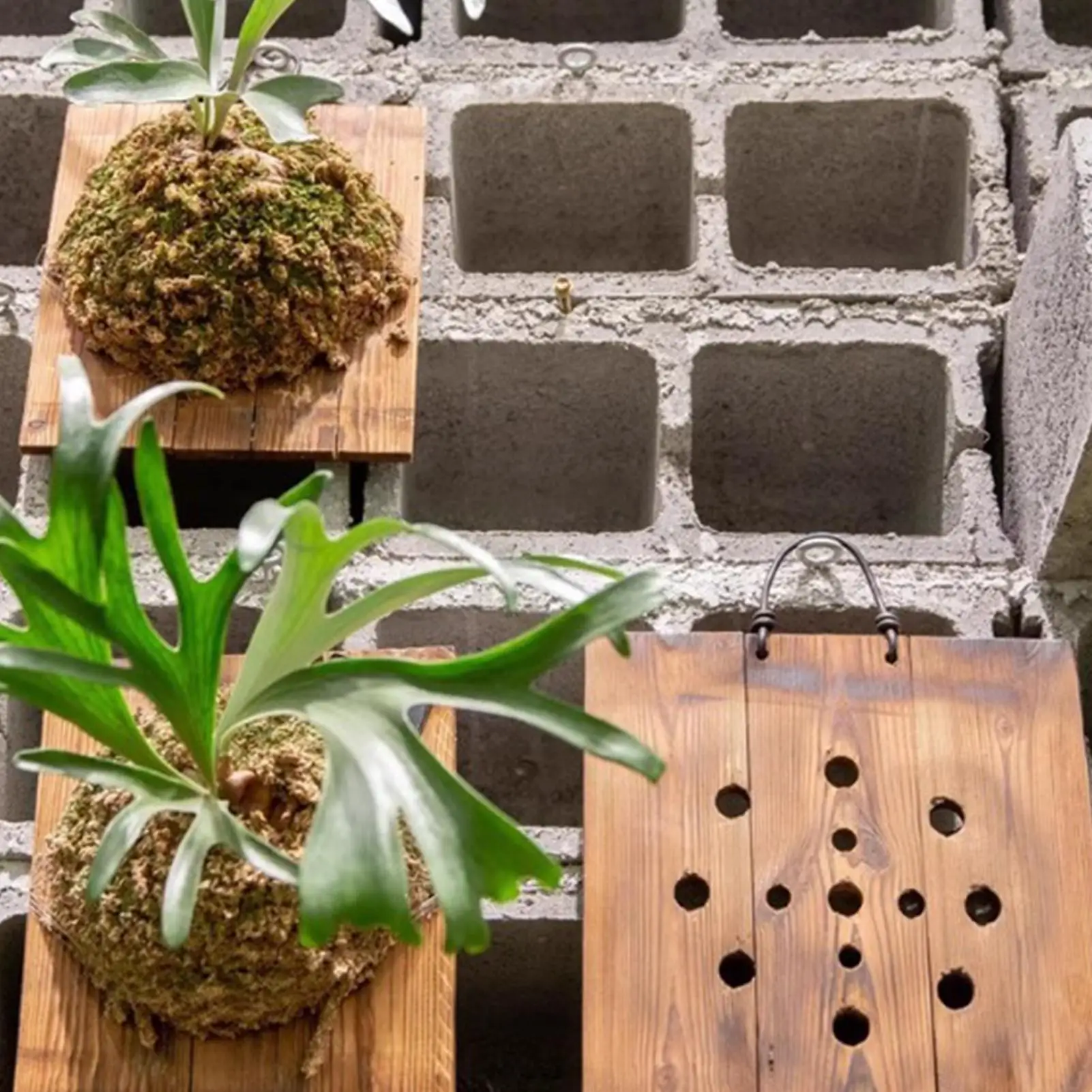 1 pièce Jardinière murale susp - Vertical Wall Planter avis et prix