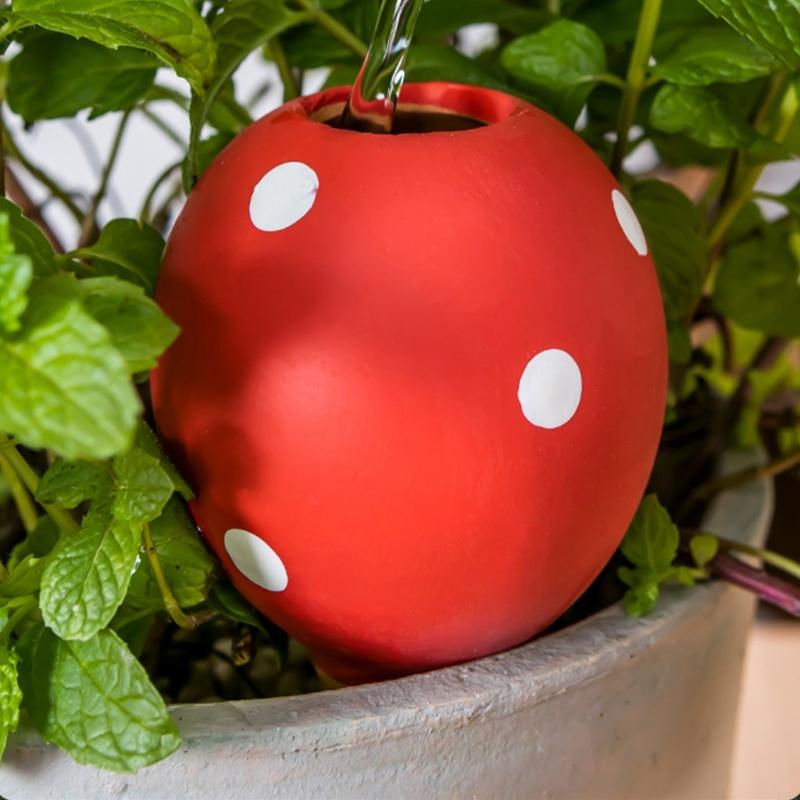 Ampoules d'arrosage en céramiq - Gardening Tools Description avis et prix